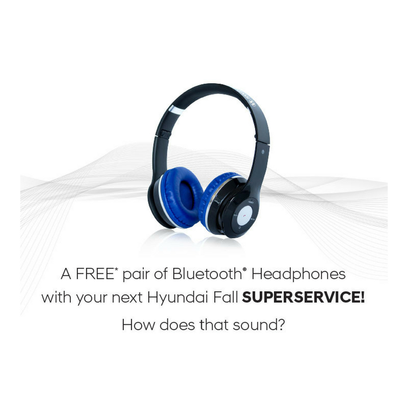 Fall Maintenance Service + Free* Bluetooth Headphones Fall Maintenance Service + Free* Bluetooth Headphones